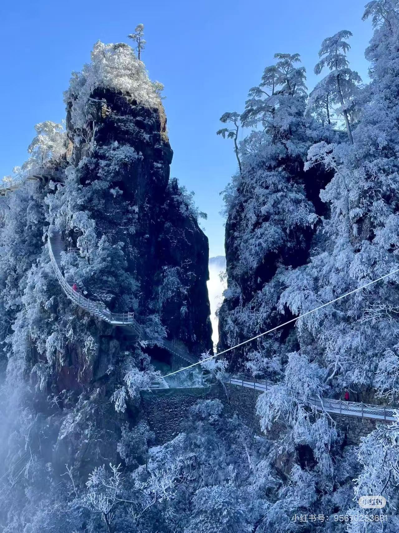 郴州九座租車(chē)